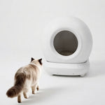cat-litter-box-safety-sensors