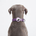 Detail view of the collar-mounted AirTag holder design