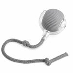 PAWZINA automatic rolling ball toy for dogs and cats