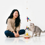 PAWZINA cat teaser toy shown beside its replaceable feather accessory