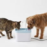 Front view of the PAWZINA 1.5-liter cat water fountain