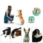 Front view of the PAWZINA automatic dog ball launcher