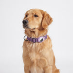 Side view of the PAWZINA pet tracking collar with integrated AirTag holder
