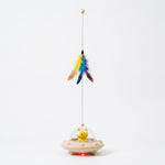  Indoor cat playing with the PAWZINA electric feather teaser toy