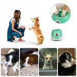 Infrared detection area shown on the interactive dog ball thrower