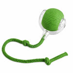 Interactive pet ball shown in a compact 6.5 centimeter size