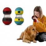 Dog interacting with the PAWZINA rolling treat ball during supervised play