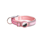Close-up of AirTag case attached to the pet collar