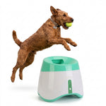 Rechargeable dog fetch machine displayed with Type-C charging cable