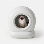 A fluffy cat with blue eyes sits inside a round, white cat litter box with a transparent front window, set against a clean white background.
